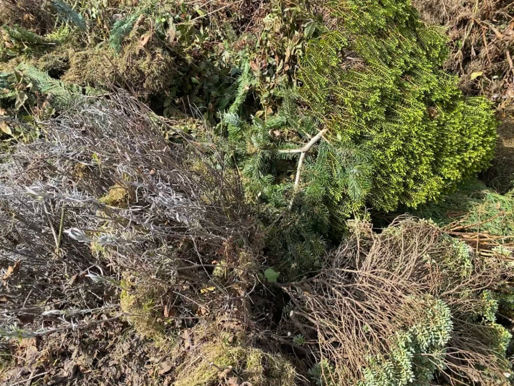 Busch- und Gartenabfälle ohne Verunreinigungen